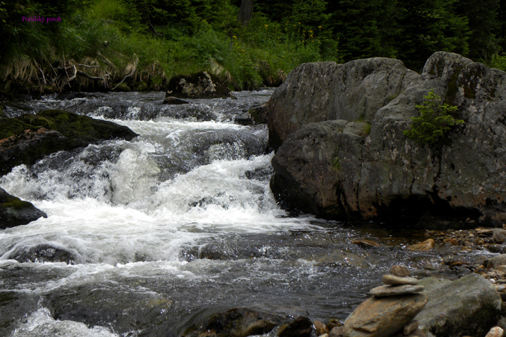 Prášilský potok-Šumava