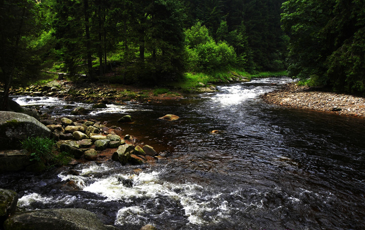 soutok Vydry a Křemelné- Šumava