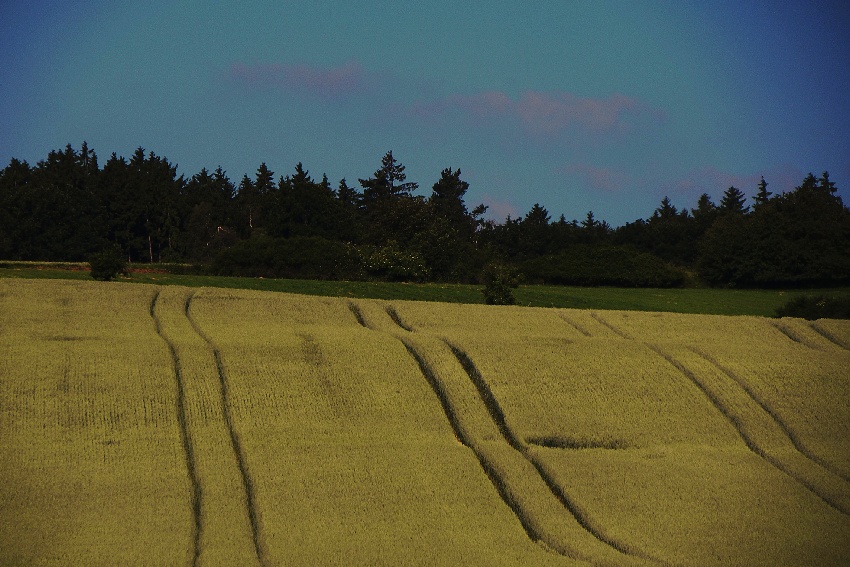 029